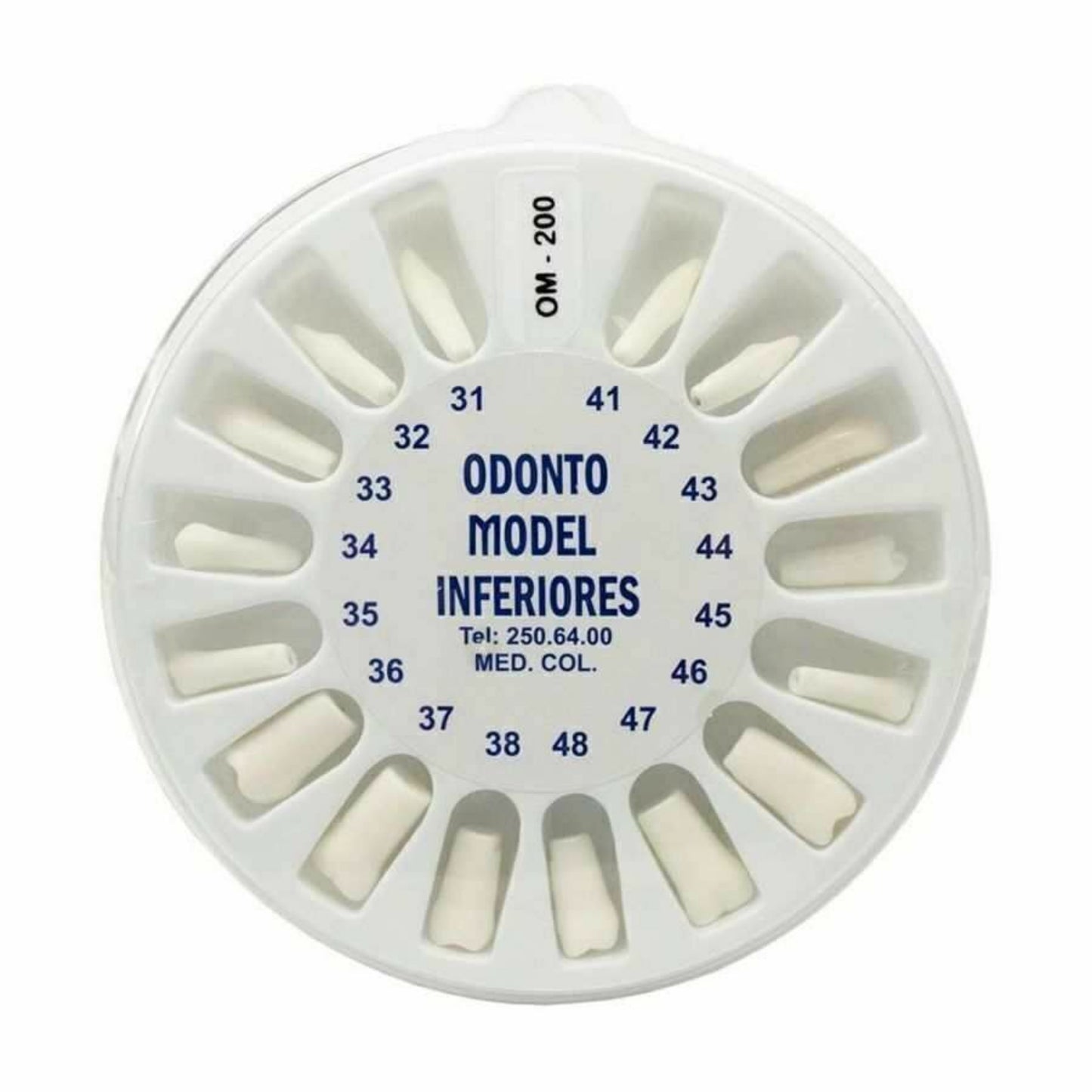 Set de dientes tipo nissin