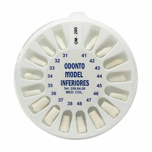 Set de dientes tipo nissin