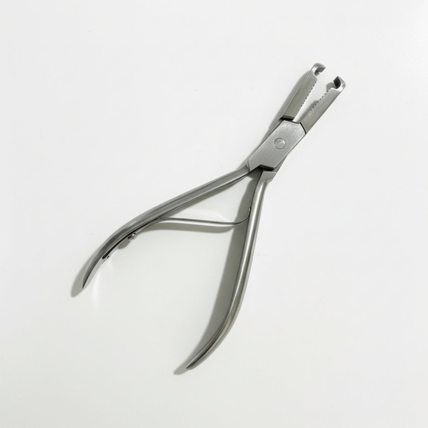 Pinza de la rosa arain