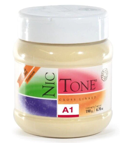 Acrilico autocurable rapido nictone 190g