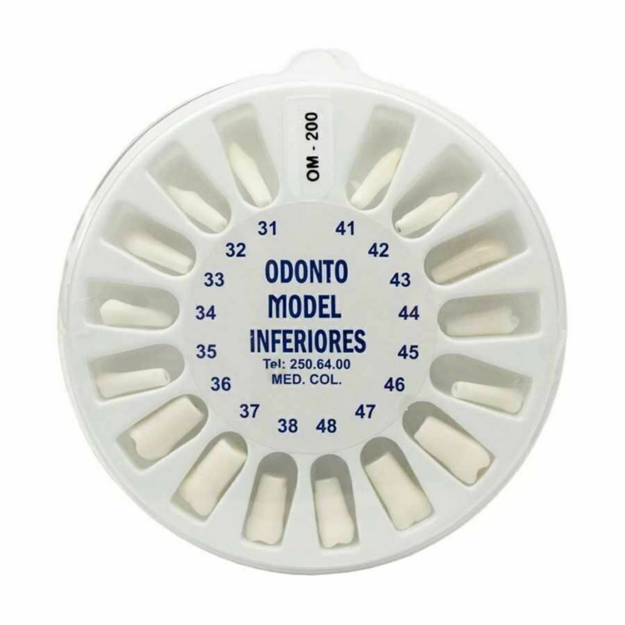 Set de dientes tipo nissin