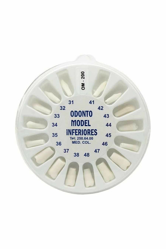 Set de dientes tipo nissin