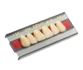 Vipi dent post